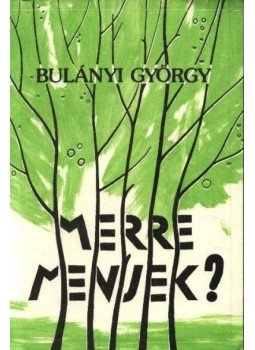 Bulányi György - Merre menjek? Bulányi György - Merre menjek?, Budapest 1991 antikvár könyv