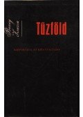 Beney Zsuzsa - Tűzföld