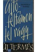Gergely Ágnes - Ajtófélfámon jel vagy