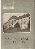 Román János - A sárospataki kollégium