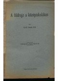 Teleki Pál gr. - A földrajz a középiskolában