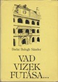 Budai Balogh Sándor - Vad vizek futása...