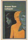 Hermann Hesse - Csillagsors