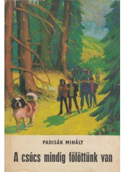 Padisák Mihály - A csúcs mindig fölöttünk van Padisák Mihály - A csúcs mindig fölöttünk van, Budapest 1980 antikvár könyv