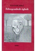 Kántor Zsolt - Félregombolt égbolt