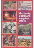 Laczó Ferenc (szerk.) - Gazdaságpolitikánk a gyakorlatban