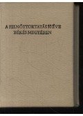 Róta Pál - A felnőttoktatás 10 éve Békés megyében