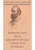 Kecskeméthy Aurél - Gróf Széchenyi István utolsó évei és halála (1849-1860)