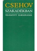 Anton Pavlovics Csehov - Szakadékban