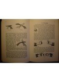 Tolnai Simon - A bűvészet könyve (reprint)