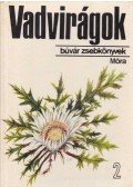 D. Nagy Éva - Vadvirágok 2.