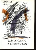 Csontos János - Gondolatok a lomtárban