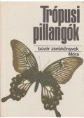 Mészáros Zoltán - Trópusi pillangók