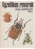 Vásárhelyi Tamás - Egzotikus rovarok