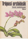 Sulyok Mária - Trópusi orchideák