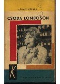 Pálfalvi Nándor - Csoda Lomboson