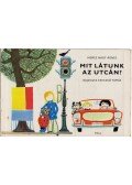Nemes Nagy Ágnes - Mit látunk az utcán?