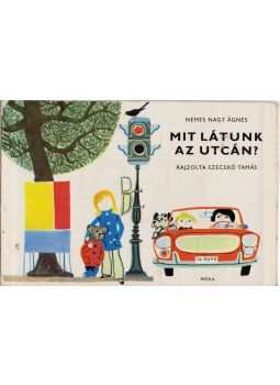 Nemes Nagy Ágnes - Mit látunk az utcán? Nemes Nagy Ágnes - Mit látunk az utcán?, Budapest 1982 antikvár könyv