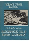 Vásárhelyi István - Magyarország halai írásban és képekben