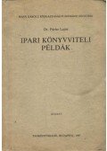 Dr. Párizs Lajos - Ipari könyvviteli példák