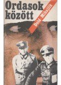 Dold-Mihajlik, Jurij - Ordasok között