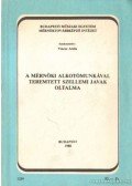 Vincze Attila - A mérnöki alkotómunkával teremtett szellemi javak oltalma