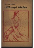 Dr. Kiss Ernőné - Alkonyi tűzben (dedikált)
