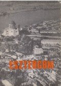 Huba László - Esztergom