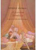 Székely András - A szerelem krónikája