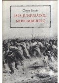 Görgey István - 1848 júniusától novemberéig