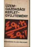 Káldor Mihály - Üzemgazdasági képletgyűjtemény
