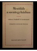 Fekete Sándor - Mezítláb a szentegyházban