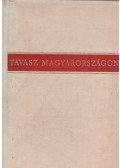 Illés Lajos - Tavasz Magyarországon