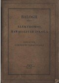 Balogh Géza - Elektromos hawaii-gitár iskola