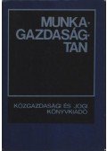 Tímár János - Munkagazdaságtan