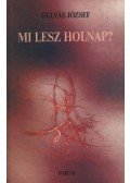 Gulyás József - atirni - Mi lesz holnap?