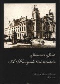 Janovics Jenő - A Hunyadi téri színház