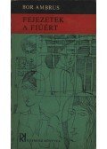 Bor Ambrus - Fejezetek a fiúért