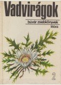 D. Nagy Éva - Vadvirágok 2.