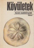 Scholz Gábor - Kövületek