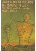 Panek Zoltán,Mózes Attila - Árvízkor a folyók megkeresik régi medrüket