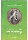 Felkai Gábor - Fichte