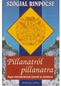 Szögjal Rinpocse - Pillanatról pillanatra