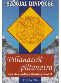 Szögjal Rinpocse - Pillanatról pillanatra Szögjal Rinpocse - Pillanatról pillanatra, Budapest 1997 antikvár könyv