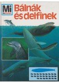 Deimer, Petra - Bálnák és delfinek