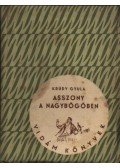 Krúdy Gyula - Asszony a nagybőgőben