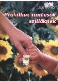 Vicki Lansky - Praktikus tanácsok szülőknek