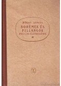 Bókay János - Bohémek és pillangók