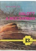 Szabó József Jenő - Halott a mocsárban