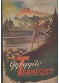 Dr. Arany György - Gyógyító természet